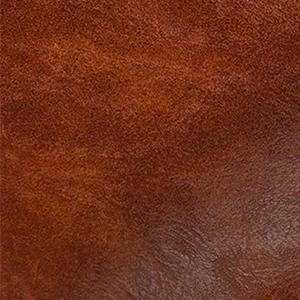 クレイジーホース